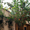 Tomis II –  vila din caramida cu pereti dubli. Comision 0%. thumb 44