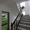 INSTITUTUL de MARINA- Vila P+1 solid construita, zona linistita thumb 6