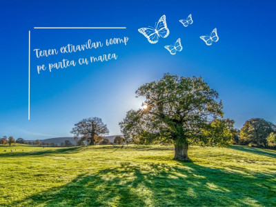 Teren in 23 AUGUST- 600 mp- pe partea cu mare