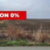 VAMA VECHE – LOTURI DE 1000 MP, APROAPE DE DRUM ASFALTAT thumb 1